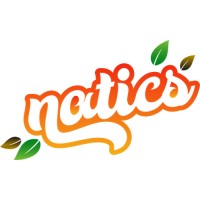 Natics logo - Similar company to Sendbob