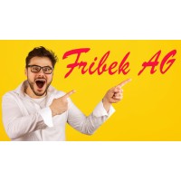 Fribek AG logo - Similar company to Swiss Institute Of Certification & Education (Sice)