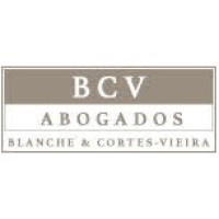 BCV Abogados logo - Similar company to Worldwide Solutions