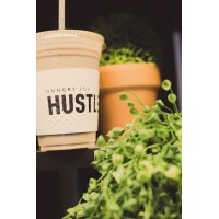 Hustle Smoothie Bar logo - Similar company to Smoothie Solutions