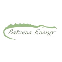 Bakoena Energy Solutions logo - Similar company to Digitalshero Media Group