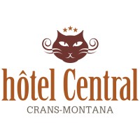 Hôtel Central Crans-Montana logo - Similar company to Lab Development