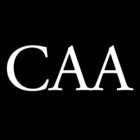 Capital Art Advisory logo - Similar company to Metgal Art + Advisory