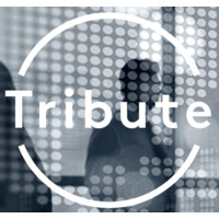 Tribute Foundation for International Tax Dispute Resolution logo - Similar company to Carelliance Bv