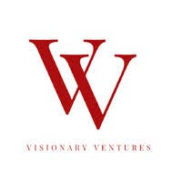 Visionary Ventures Group logo - Similar company to North Edge Dental