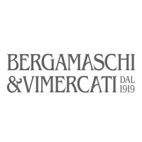 Bergamaschi & Vimercati S.p.A. logo - Similar company to Emme Coperture