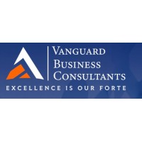 Vanguard Business Consultants logo - Similar company to Pristine Capital