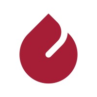 Levent Schools logo - Similar company to Türk Tanıtma Vakfı (Tütav)