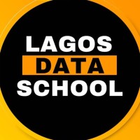 lagos data school ng logo - Similar company to Lagos Data School
