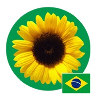 Cordão de Girassol oficial - HD Sunflower logo - Similar company to Team Building Brasil