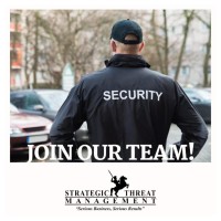 Strategic Threat Management, Inc. logo - Similar company to Mckinley Elevator