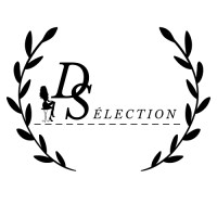 DS Sélection logo - Similar company to Elementi France