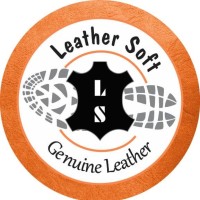 Leather Soft Pvt Ltd logo - Similar company to Dwt