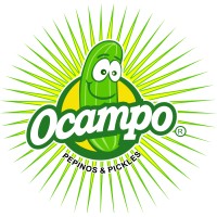 PICKLE CORPORATION logo - Similar company to Virtual 5