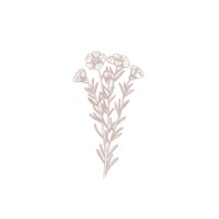 THECÈ logo - Similar company to Lva - Lab To Visualize Ahead