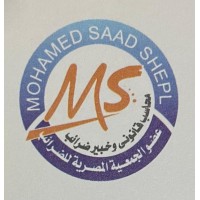 Mohamed Saad Shebl Accounting, Auditing, and Tax Consulting Firm logo - Similar company to Moustafa Nour Accounting Firm - مصطفي نور