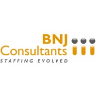BNJ Consultants Ltd logo - Similar company to Pro1 Logistics Ltd