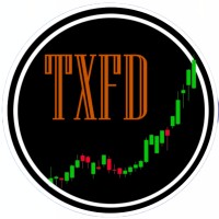 Texas Financial Derivatives logo - Similar company to Howryou.Project
