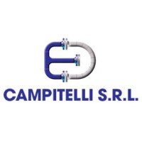 Campitelli S.r.l. logo - Similar company to Nsi Advisor Srl