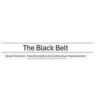 The Black Belt | Business Transformation logo - Similar company to Moon Bundle