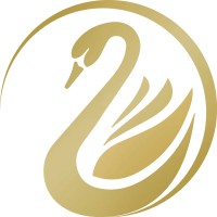 SwanS Consulting Services logo - Similar company to Bspot Sa