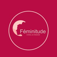 Féminitude logo - Similar company to M - Consulting Sarl