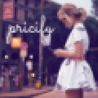 Pricify logo - Similar company to Bright Projects
