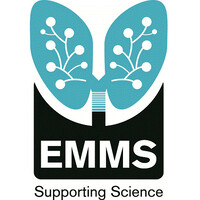 EMMS logo - Similar company to Maf Imagine / Imagine Multiservices