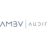 Ambv Audit Srl logo - Similar company to Studio Associato Antonelli Werthhammer