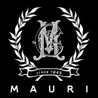 Mauri Concept logo - Similar company to Artrust Sa