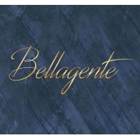 Bellagente TR logo - Similar company to Monador Automatic Door Systems