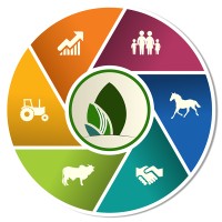 Compre Rural logo - Similar company to Abdagro