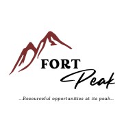 FortPeak Consult logo - Similar company to Blackfort Group Ltd.