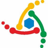 Synorg Intermediates logo - Similar company to Snatra Pharmaceuticals