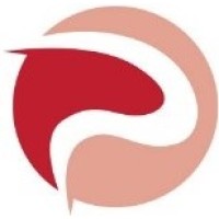 Plyse Professional Services logo - Similar company to Customerviewreports