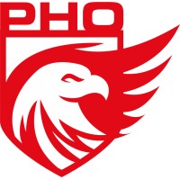 Polski Holding Ochrony logo - Similar company to Eteria Consulting