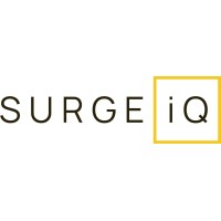 Surge iQ logo - Similar company to Gang'S All Here!