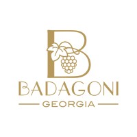 Badagoni logo - Similar company to Askaneli • ასკანელი