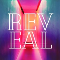 Reveal logo - Similar company to Evolve