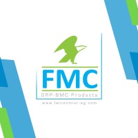Falcon Misr co logo - Similar company to Pmc Summit