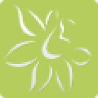 Darsh Web Solutions
