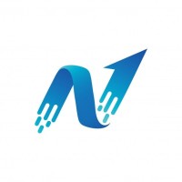 Neuralis Consulting logo - Similar company to Neuralis