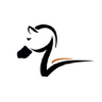 Zebra Strategies logo - Similar company to Trustability Metrix