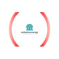 Ozbek Synergy logo - Similar company to Paylov