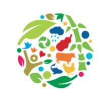 Seven Food Processing Ltd logo - Similar company to Agro Yard Llp