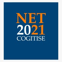 NetCogitise logo - Similar company to Cogitise