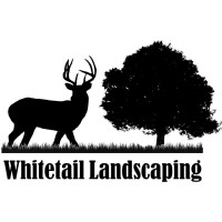 Whitetail Landscaping LLC logo - Similar company to Wesimplify Marketing