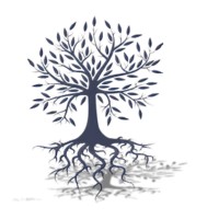 MN Capital Management, (Pty) Ltd. logo - Similar company to Crowscope®