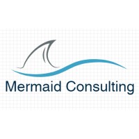 Mermaid Consulting logo - Similar company to Sutplus