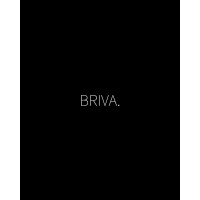 BRIVA - Your AI Marketing Assistant logo - Similar company to Social Sriracha